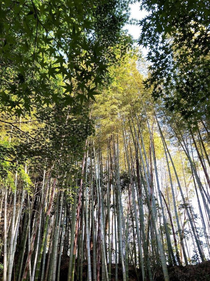 Bamboo Resort Mihama　繋 Mihama  Kültér fotó